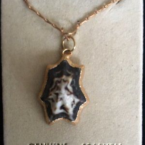 Sea Shell Gold Plated Necklace
